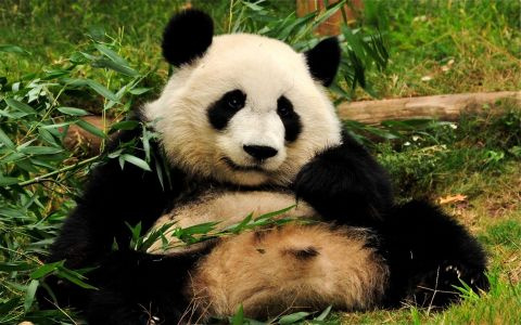 Avatar de Ecologue
