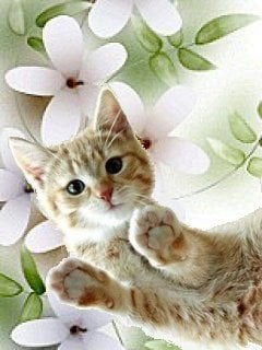FleurdeJasmin