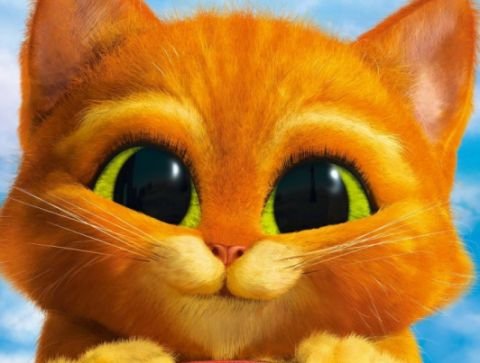 Avatar de FelineLover