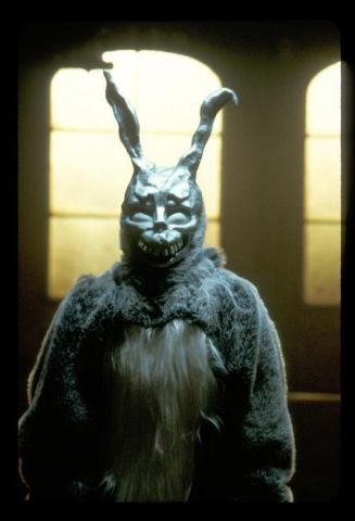 FrankTheRabbit
