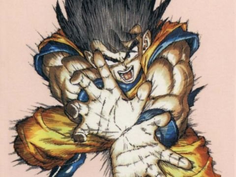 goku-san