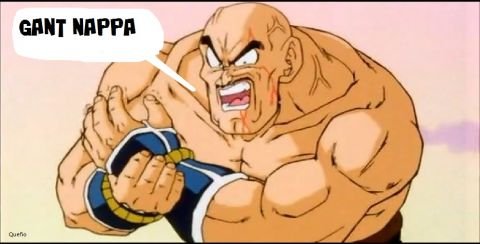 GantNappa