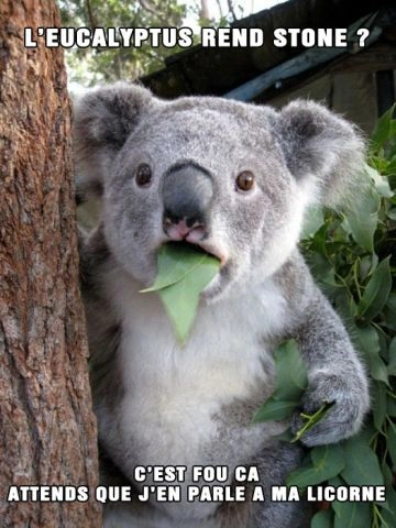 Avatar de GautierDumont