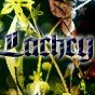 K_lach77