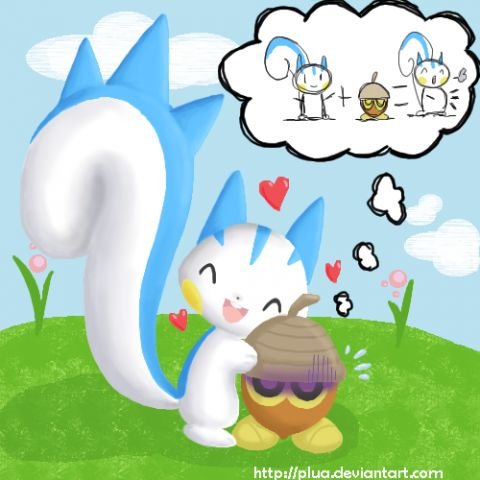 Lulu-Pachirisu