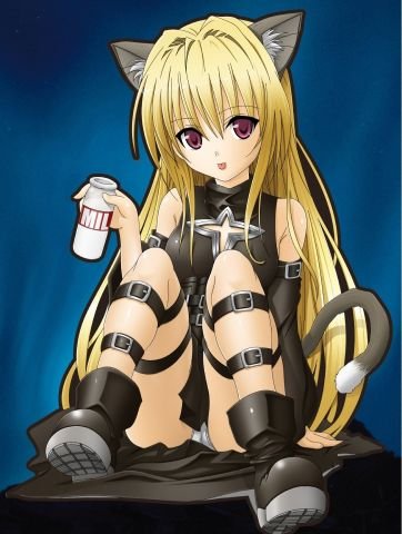 nekomimi