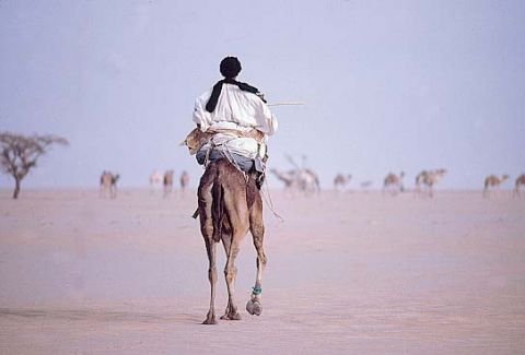 Avatar de PoteNomade