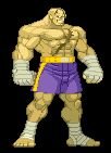 SAGAT91