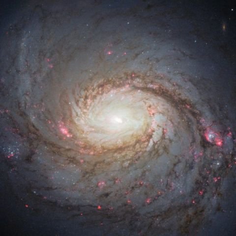 Spatial