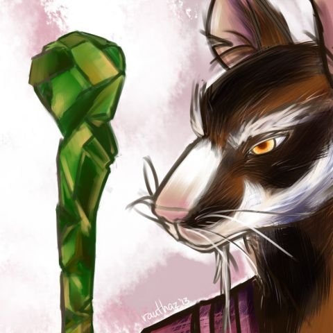 Splinter