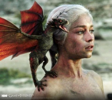 Tamerofdragons