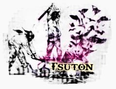 Tsuton