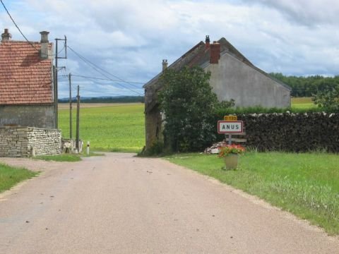 villou