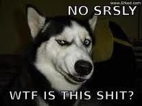 WhatTheF__K