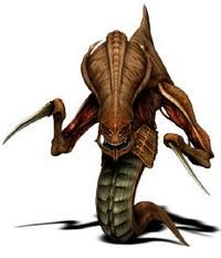 zerguy