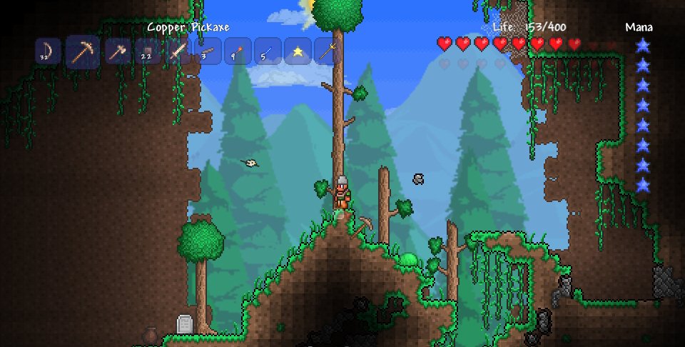 playstation 3 terraria