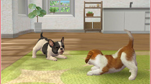 Les races de chien disponibles dans Nintendogs + Cats