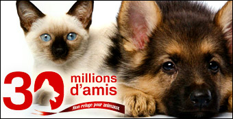 30 millions d'amis : Mon refuge pour animaux