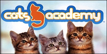 Cats Academy