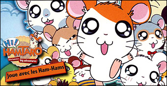 Hamtaro : Joue avec les Ham-Hams