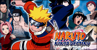 Naruto : Ninja Destiny