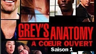 Grey's Anatomy sur DS