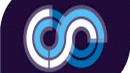 PS2 Online :  Le Logo