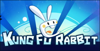 Kung Fu rabbit