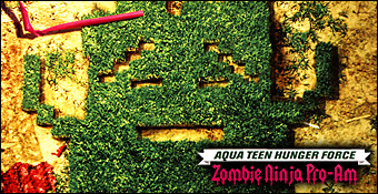 Aqua Teen hunger Force Zombie Ninja Pro-Am