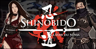Shinobido Way Of The Ninja