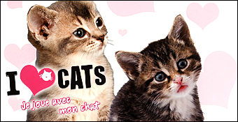 I Love Cats : Je Joue Avec Mon Chat