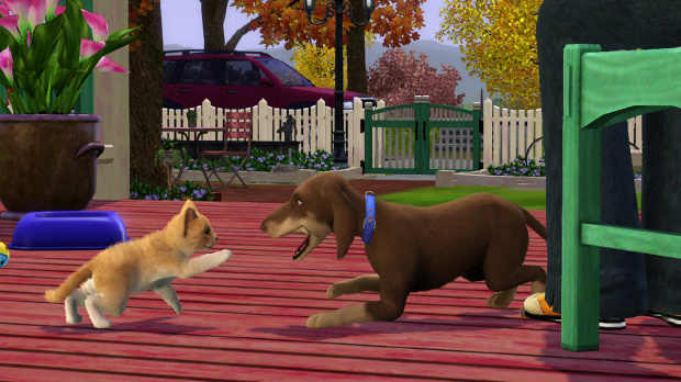 Images des Sims 3 : Animaux & Cie