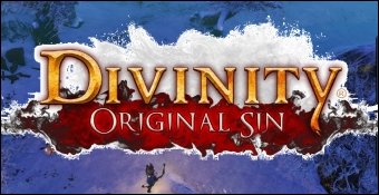 Divinity : Original Sin - E3 2012