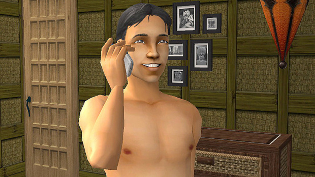 Images : Les Sims Histoires De Vie