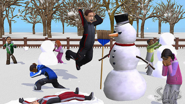 Image : Les Sims 2 : Au Fil Des Saisons