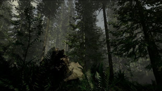 Promenons-nous dans les bois avec The Forest sur PS4