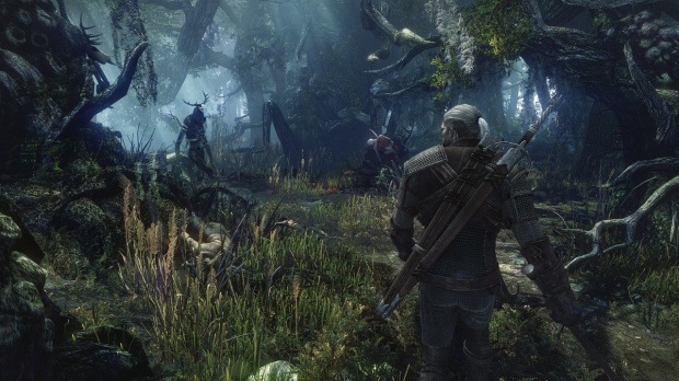 E3 2013 : The Witcher 3 s'offre des images magnifiques