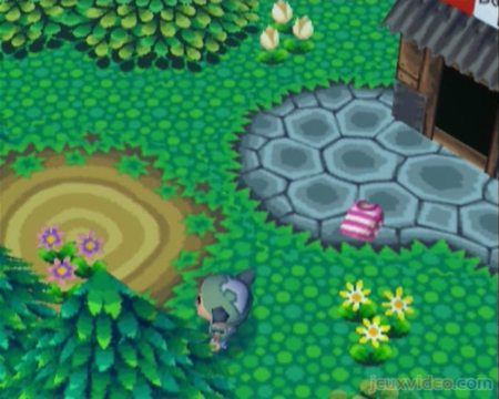 Animal Crossing : Extrait