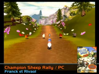 Champion Sheep Rally : Moutons en action