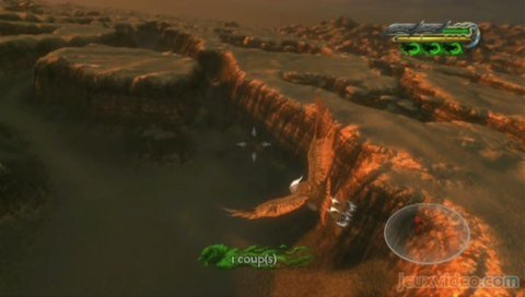 Le Royaume de Ga'Hoole : La Légende des Gardiens - Le Jeu Vidéo : 
