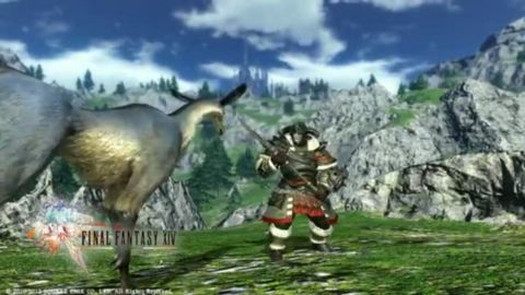 Final Fantasy XIV Online : Maniement des armes