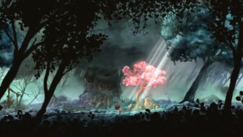 Child of Light : Le mode coop
