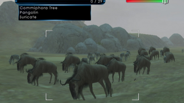 Wild Earth : African Safari sur Wii