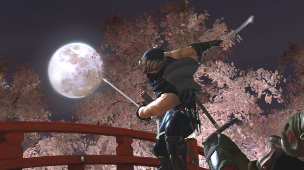 Images : Ninja Gaiden II