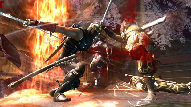 Images : Ninja Gaiden II tranche dans le vif
