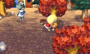 TGS 2011 : Images d'Animal Crossing 3DS