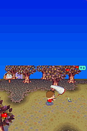 Animal Crossing exhibé sur DS
