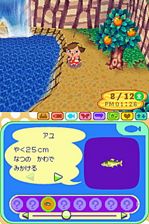 Animal Crossing exhibé sur DS