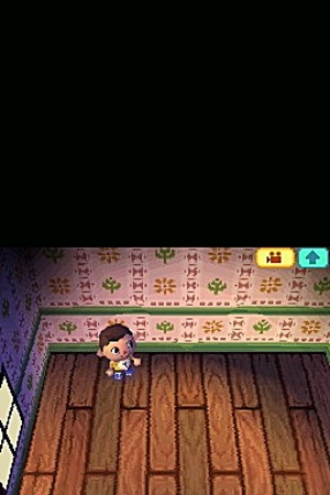 Images : Animal Crossing à fond sur la DS
