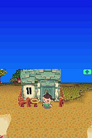 Images : Animal Crossing prend la pose sur DS